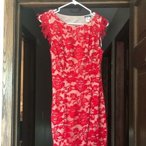NikiBiki Red/nude lace dress